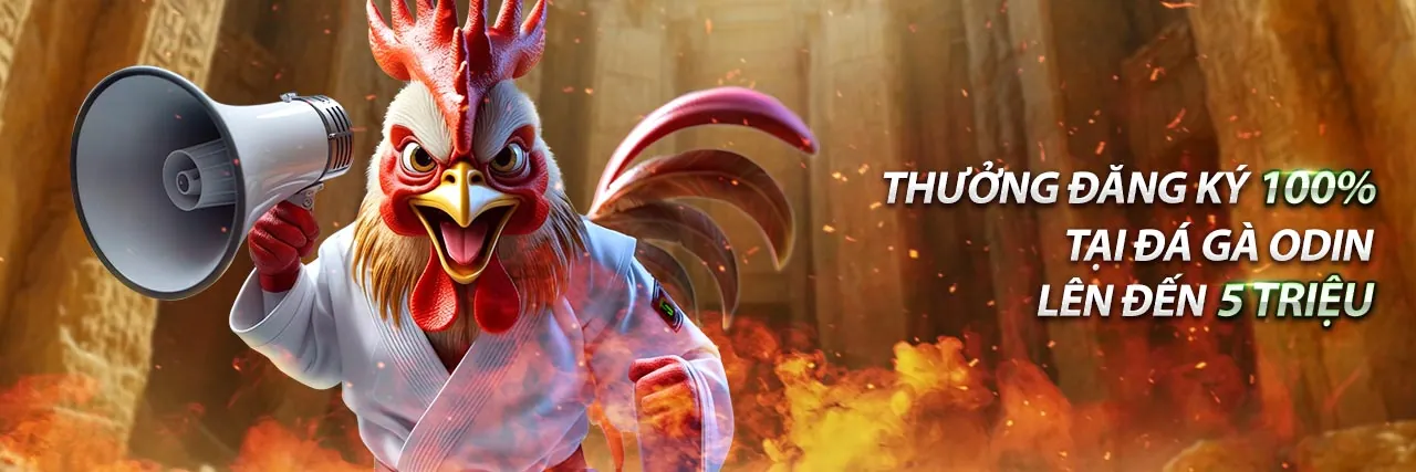 Banner khuyến mãi cuối trang