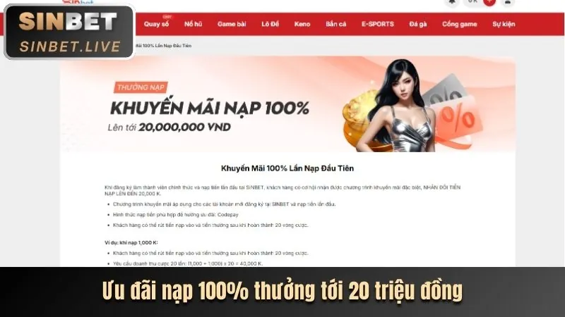 Hình ảnh tổng quan về cá cược online